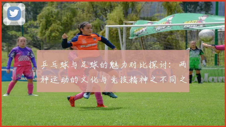 乒乓球与足球的魅力对比探讨：两种运动的文化与竞技精神之不同之处