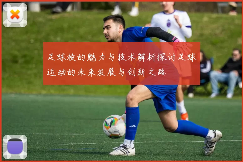 足球棱的魅力与技术解析探讨足球运动的未来发展与创新之路
