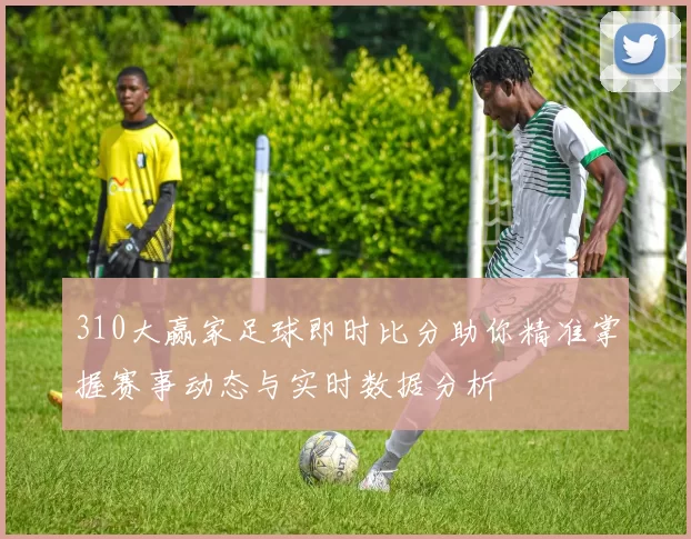 310大赢家足球即时比分助你精准掌握赛事动态与实时数据分析