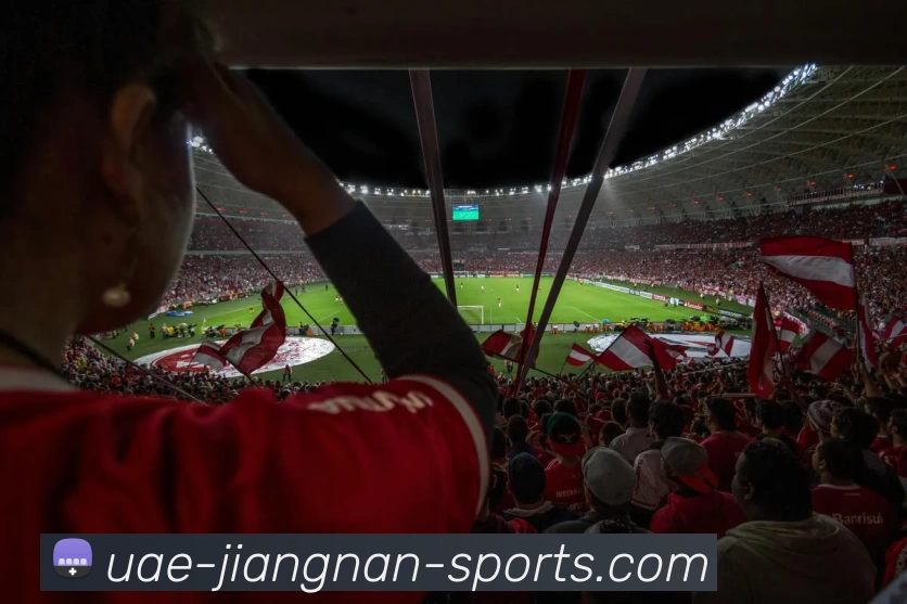 多媒体互动体验